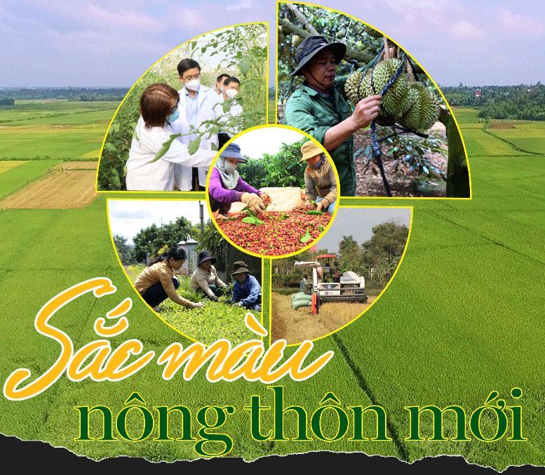 Tổ chức thực hiện Phong trào thi đua  “Đắk Lắk chung sức xây dựng nông thôn mới” giai đoạn 2021 - 2025